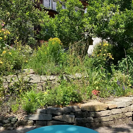 Gemuetliche Grosszuegige Altes Schulhaus Apartament