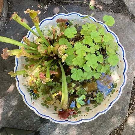 Gemuetliche Grosszuegige Altes Schulhaus *