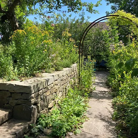 Gemuetliche Grosszuegige Altes Schulhaus Apartament Ebnat-Kappel