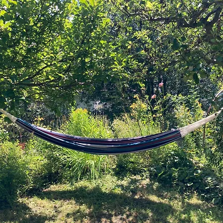 Gemuetliche Grosszuegige Altes Schulhaus Apartament *