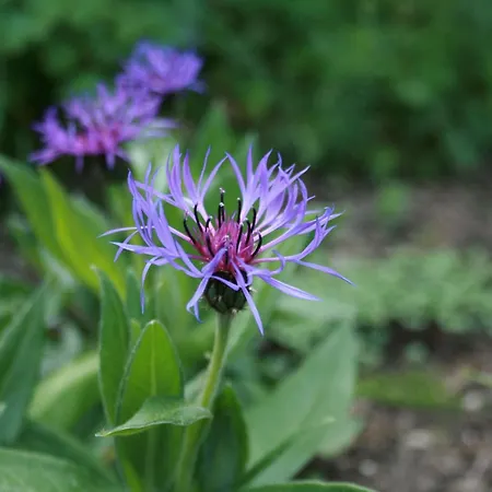 Apartament Gemuetliche Grosszuegige Altes Schulhaus *