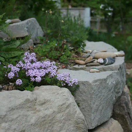 Gemuetliche Grosszuegige Altes Schulhaus Apartament *
