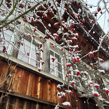 Apartament Gemuetliche Grosszuegige Altes Schulhaus Ebnat-Kappel