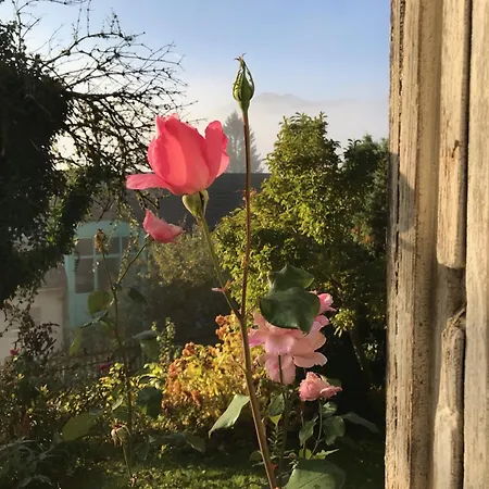 Gemuetliche Grosszuegige Altes Schulhaus * Ebnat-Kappel