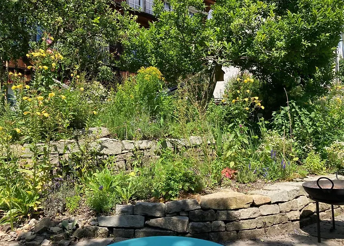 Gemuetliche Grosszuegige Altes Schulhaus Appartement