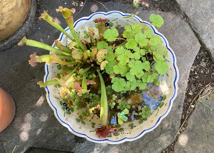 Gemütliche Grosszügige Altes Schulhaus *