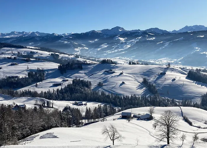 Gemuetliche Grosszuegige Altes Schulhaus Appartement