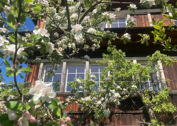 Appartement Gemuetliche Grosszuegige Altes Schulhaus