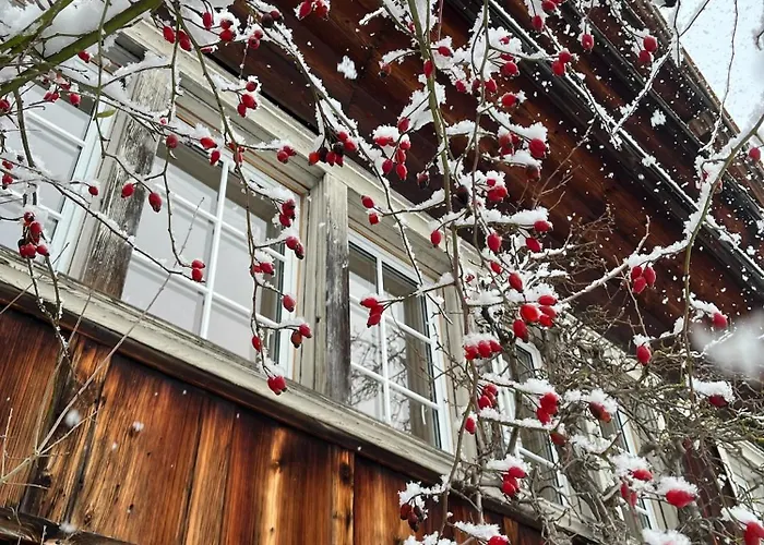 Appartement Gemuetliche Grosszuegige Altes Schulhaus Ebnat-Kappel