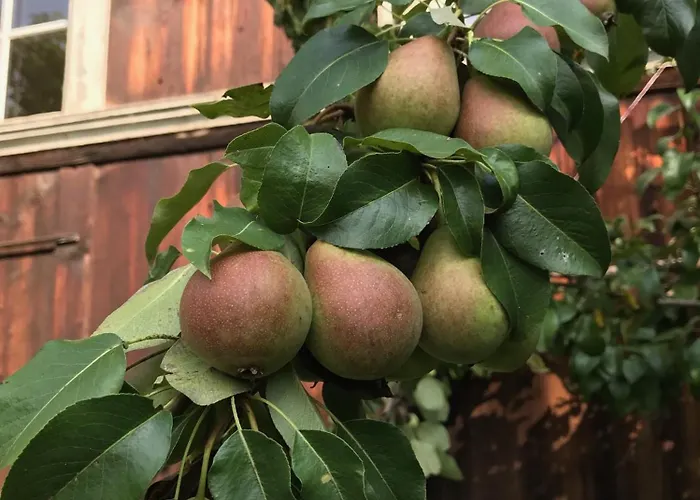 Apartment Gemütliche Grosszügige Altes Schulhaus Ebnat-Kappel