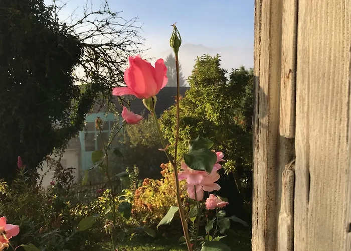 Gemuetliche Grosszuegige Altes Schulhaus * Ebnat-Kappel