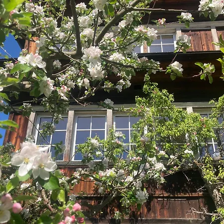 Apartment Gemütliche Grosszügige Altes Schulhaus